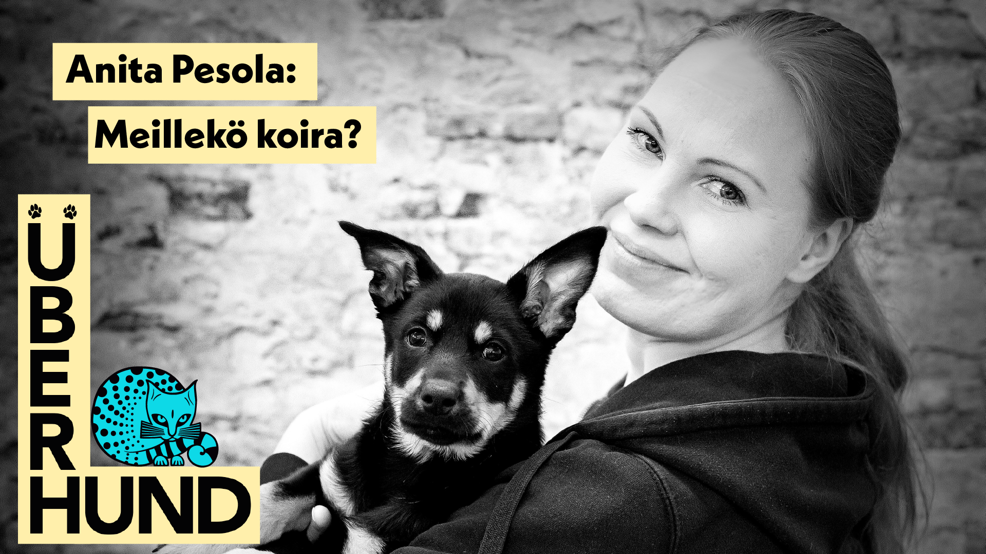 Anita Pesola: Meillekö koira?