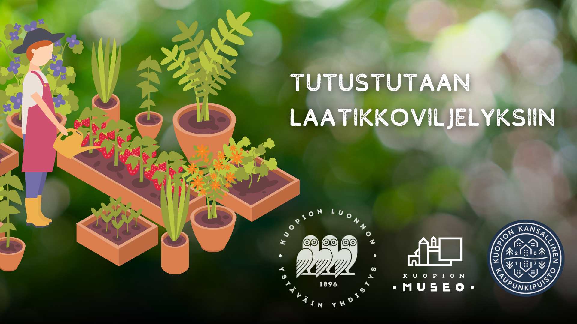piirroskuva laatikkoviljelyksistä ja viljelijästä