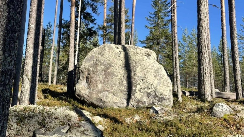 Siirtolohkare mäntymetsässä